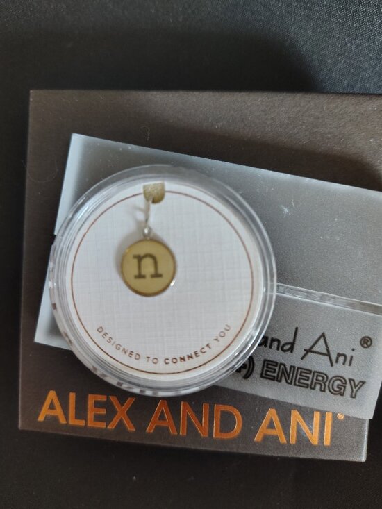 Alex and Ani Jewelry - Alex and Ani Sterling Silver Initial N Charm  907